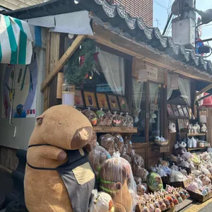 카페 카카리코 사진 1