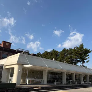 에센시아 사진 2