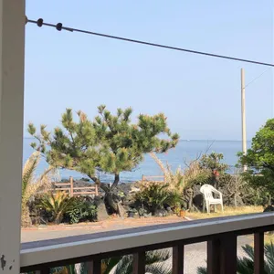 제주애월낭만식당김밥고사리육개장 리뷰 사진