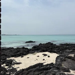 베릴 리뷰 사진