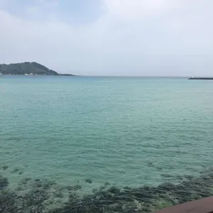 베릴 리뷰 사진