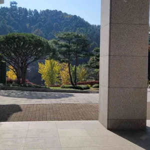 카페더청남대 리뷰 사진