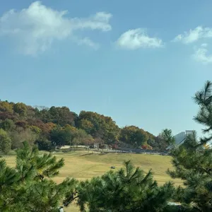 메인스테이 리뷰 사진