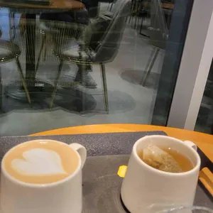 코리달리스 사진