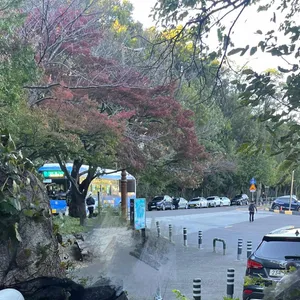 새소리 리뷰 사진