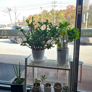 장수막국수 리뷰 사진