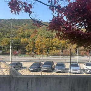 커들포드 리뷰 사진