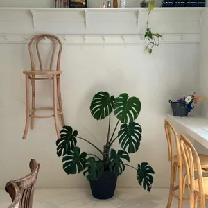 어퍼이스트베이커리 리뷰 사진