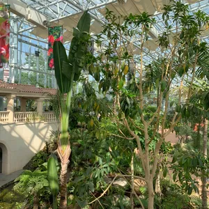 일월수목원 카페 데이지원 리뷰 사진