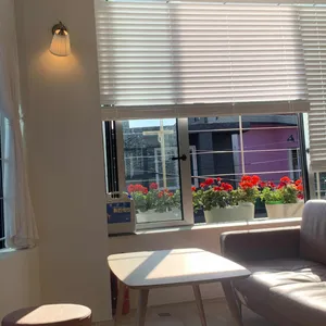 골디스 리뷰 사진