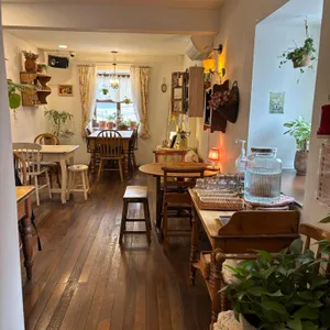 우니카트 리뷰 사진