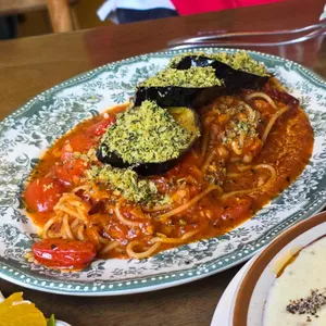 베이비치크 사진