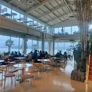 아르세 리뷰 사진