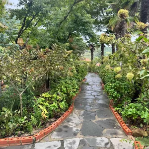 아르세 리뷰 사진