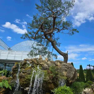 카페 너른 리뷰 사진