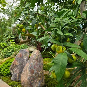 카페 너른 리뷰 사진