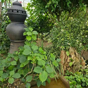 카페 너른 리뷰 사진