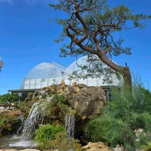 카페 너른 리뷰 사진