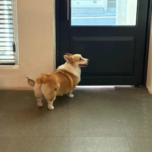 스케치904 대표 사진