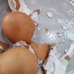 청기와냉면 사진