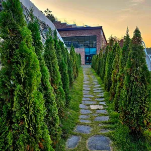 더 포레스트랜드 리뷰 사진