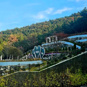 더 포레스트랜드 리뷰 사진