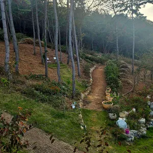 더 포레스트랜드 리뷰 사진