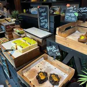 레인리포트 레인보우 리뷰 사진