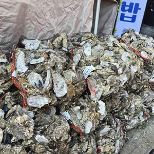 통영굴바다 리뷰 사진