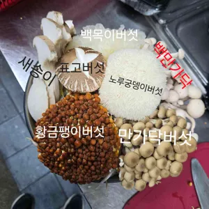 샤브마니아 사진