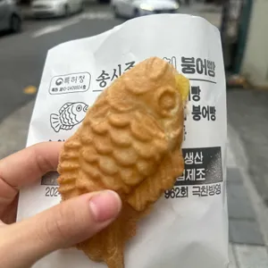 송시종 특허 붕어빵 리뷰 사진