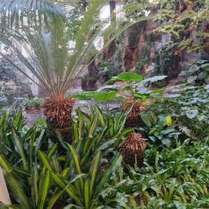 경춘당 베이커리&브런치 식물원 카페 리뷰 사진