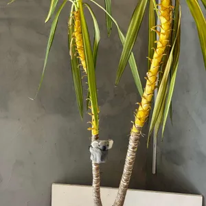 리틀맨리 리뷰 사진