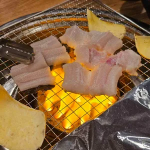 기장참곰장어 사진