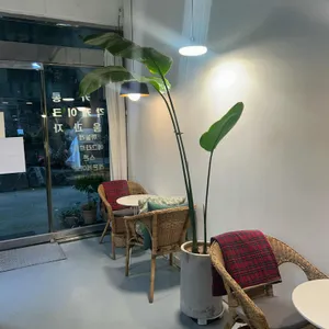 라파린 리뷰 사진