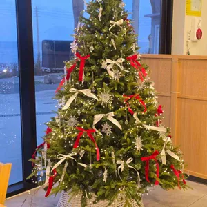 일광정담솥밥 리뷰 사진