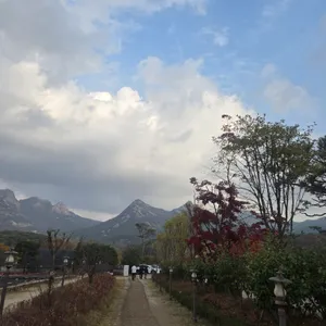 파노라마 베이커리 카페 리뷰 사진