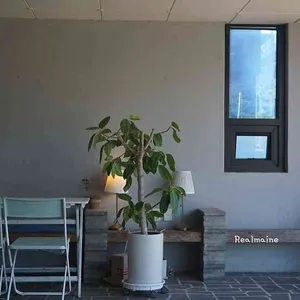 스트로우 리뷰 사진