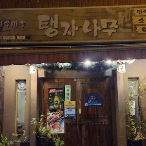 민속마을탱자나무 사진