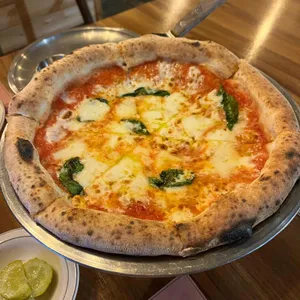 아띠오아나폴리핏제리아 사진