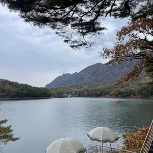 얼리빈스 리뷰 사진