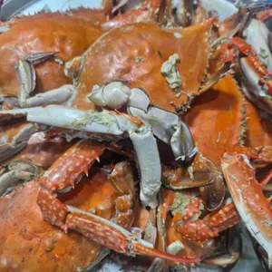 전주맛집꽃돼지 리뷰 사진