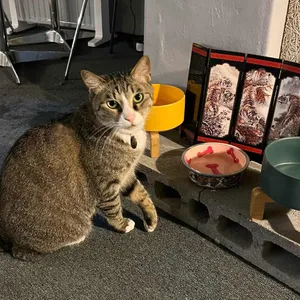 심플책방 리뷰 사진