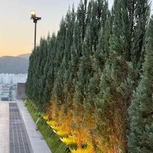 탄티 리뷰 사진