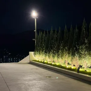 탄티 리뷰 사진