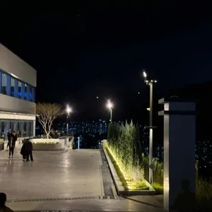 탄티 리뷰 사진