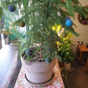 카페행신 리뷰 사진