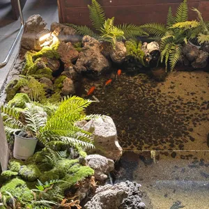 청수당 리뷰 사진