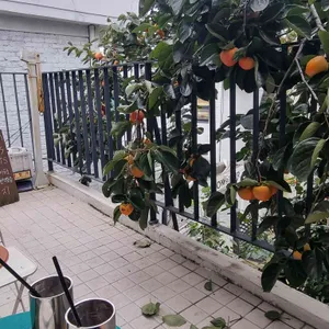 진을림 리뷰 사진