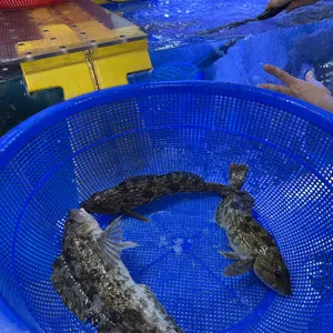 짱구네 리뷰 사진